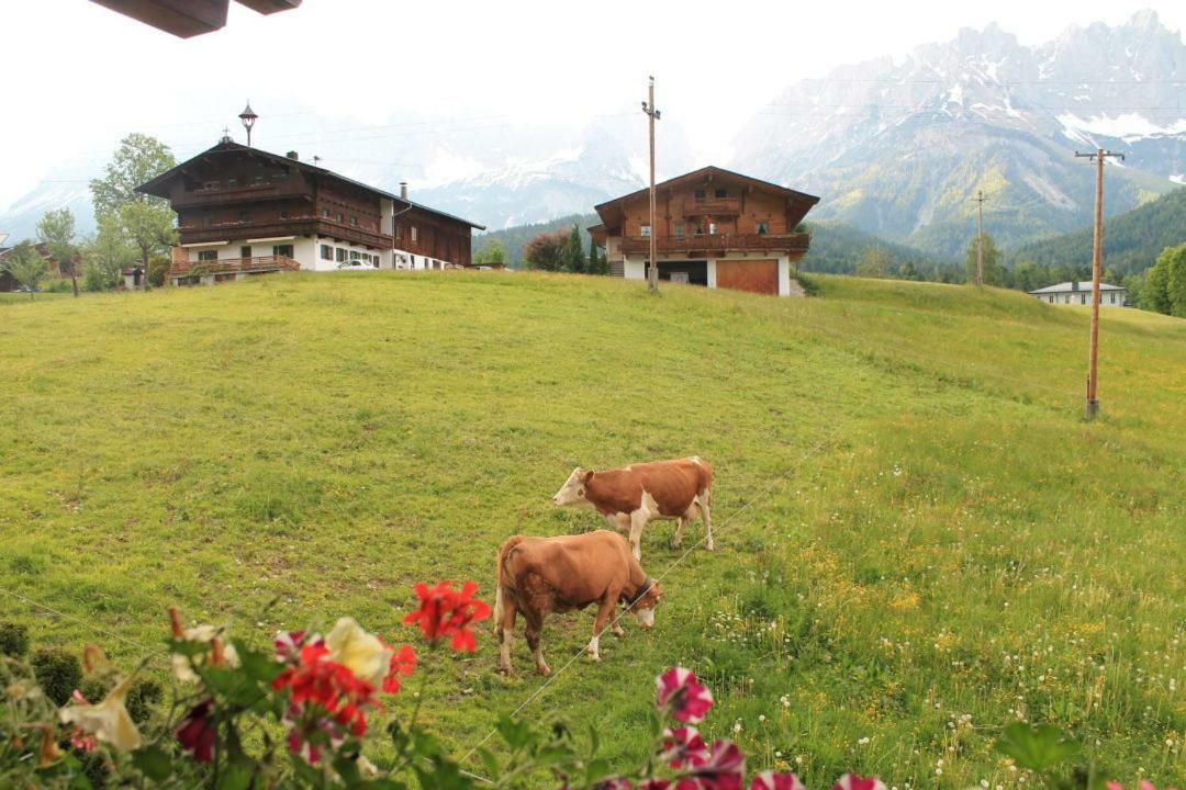 Pension Sunnberg Going am Wilden Kaiser Εξωτερικό φωτογραφία